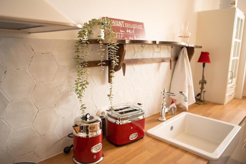 - une cuisine avec 2 plantes sur un comptoir et un évier dans l'établissement La maison du bassin, à LʼIsle-sur-la-Sorgue