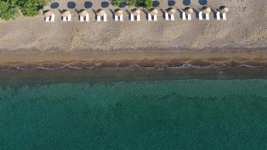 um grupo de pessoas de pé na praia perto da água em Grand Bleu Anastazia em Porto Heli