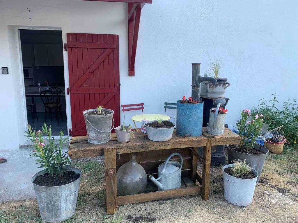 a wooden table with potted plants on it at LE DEPOT appartement du port à Champvert in Champvert