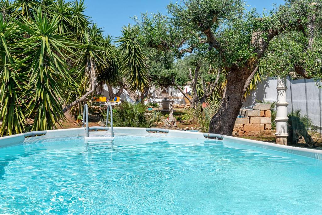 Sava – Photos 3