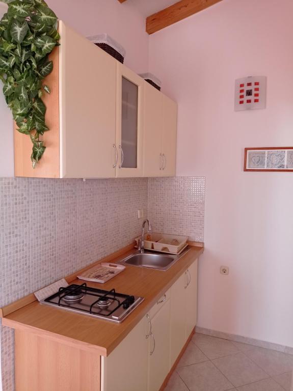 Kuchyň nebo kuchyňský kout v ubytování APARTMENTS VIS BY THE SEA