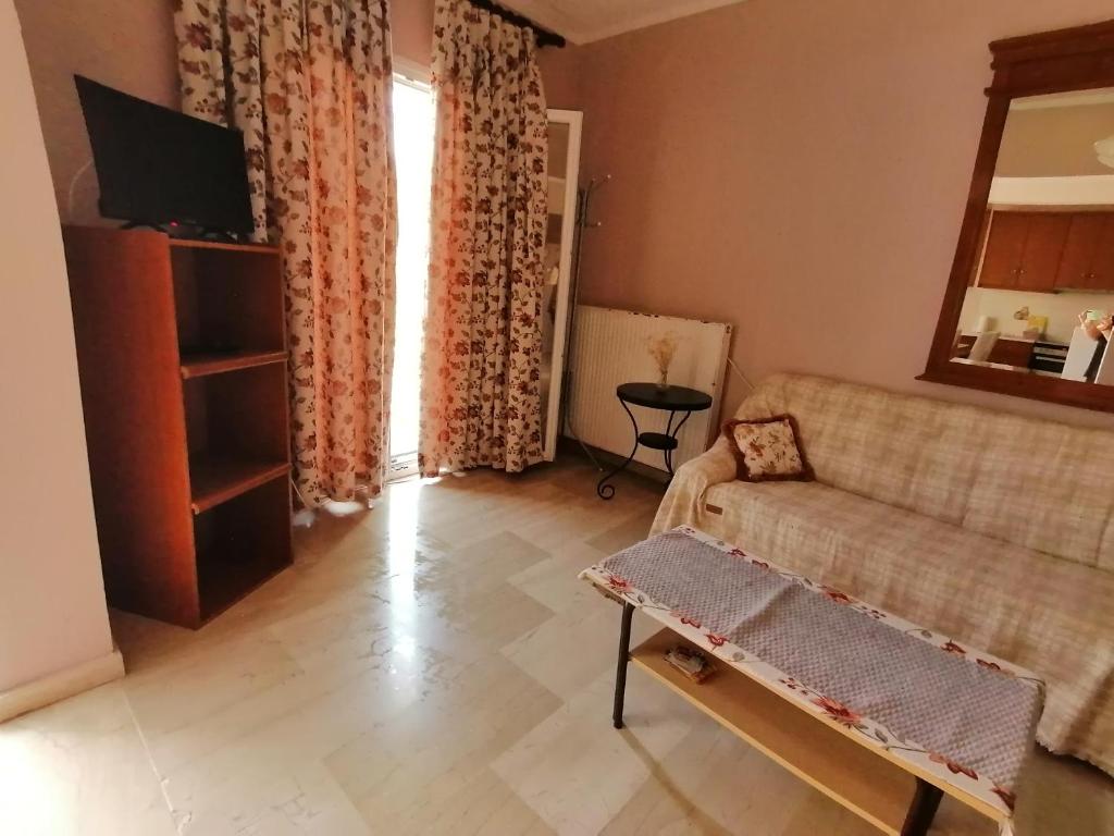 TV a/nebo společenská místnost v ubytování flower garden apartment