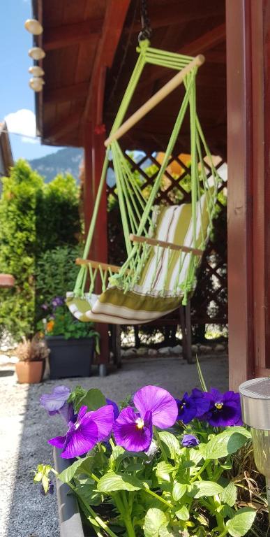 Zahrada ubytování Zajček Apartma