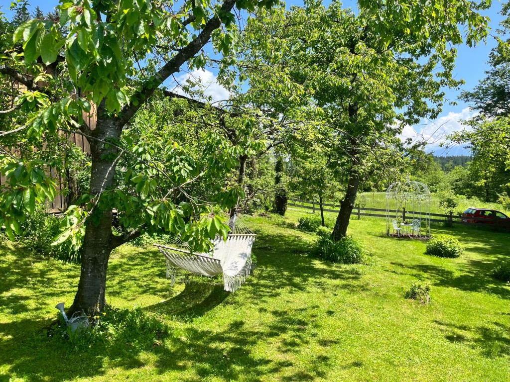 Zahrada ubytování Chalet Reserl by Interhome