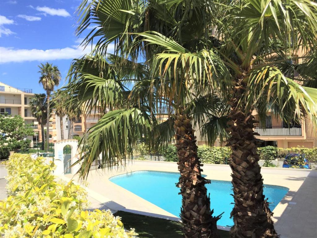 two palm trees next to a swimming pool at Studio La Palmeraie II-3 by Interhome in Sainte-Maxime