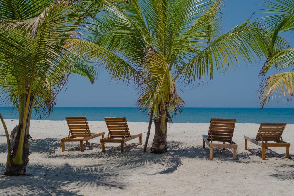 cztery krzesła i palmy na plaży w obiekcie Manoush Beach w mieście Buritaca