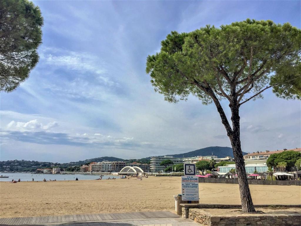 a tree on a beach with a sign next to it at Apartment La Palmeraie II-1 by Interhome in Sainte-Maxime
