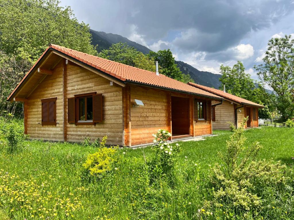 a small wooden house in a field of grass at Chalet Chalet Stressless I by Interhome in Presseggen