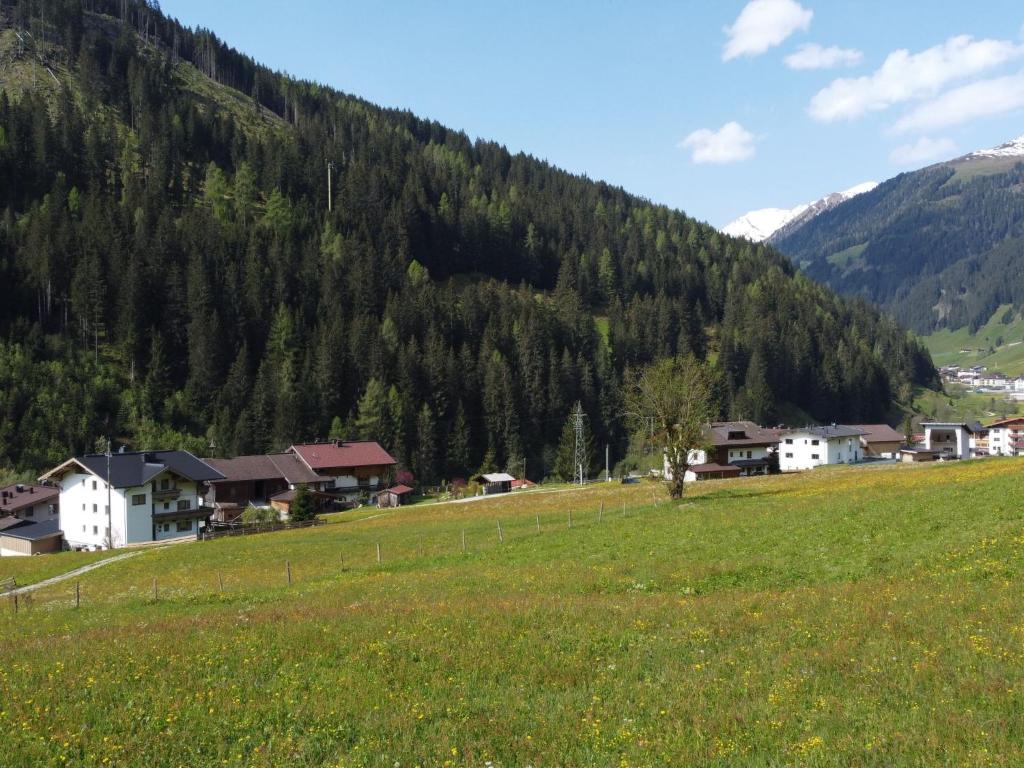 Příroda nedaleko apartmánu