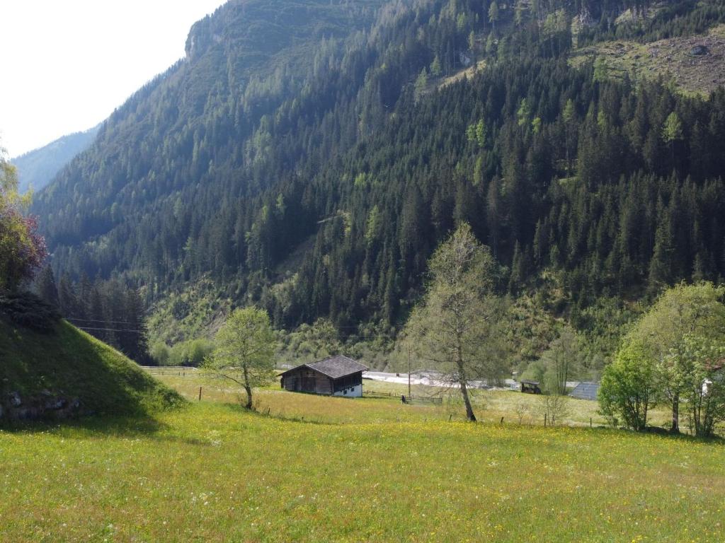 Příroda nedaleko apartmánu