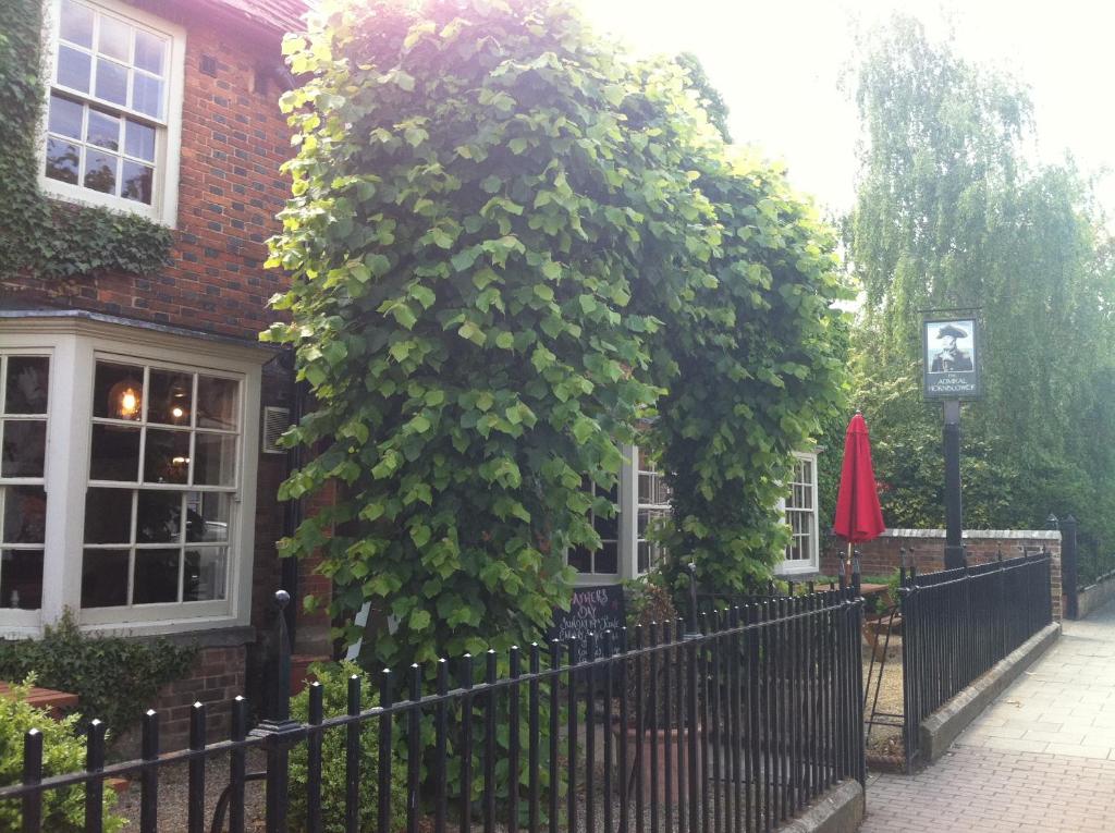 a large bush growing on the side of a house at The Admiral Hornblower in Oakham