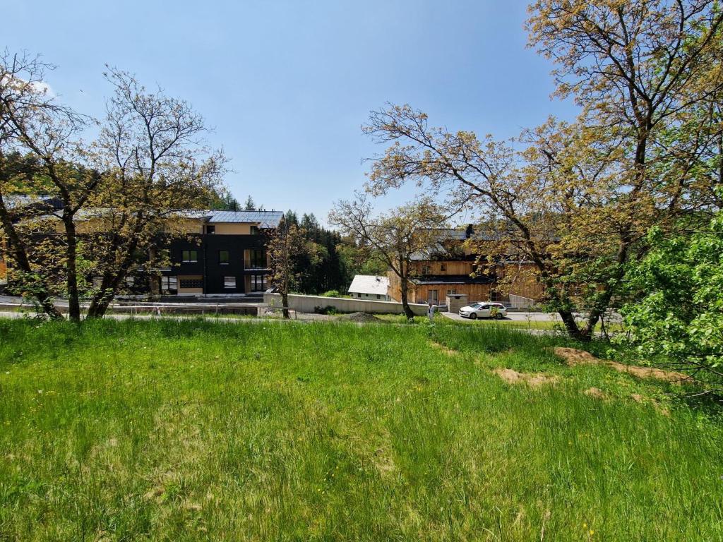 Zahrada ubytování Studio Černý Důl-1 by Interhome