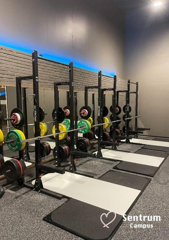 Fitness centrum a/nebo fitness zařízení v ubytování Bakkalandet Hotel