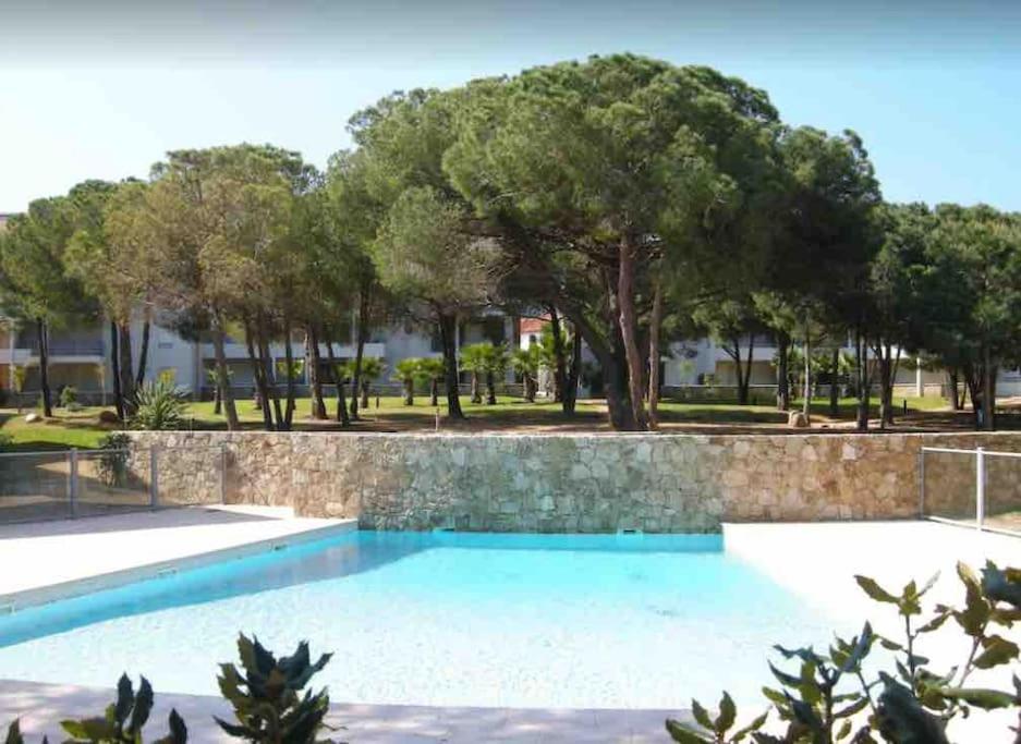 a swimming pool with a retaining wall and trees at Appartement avec piscine in Calvi