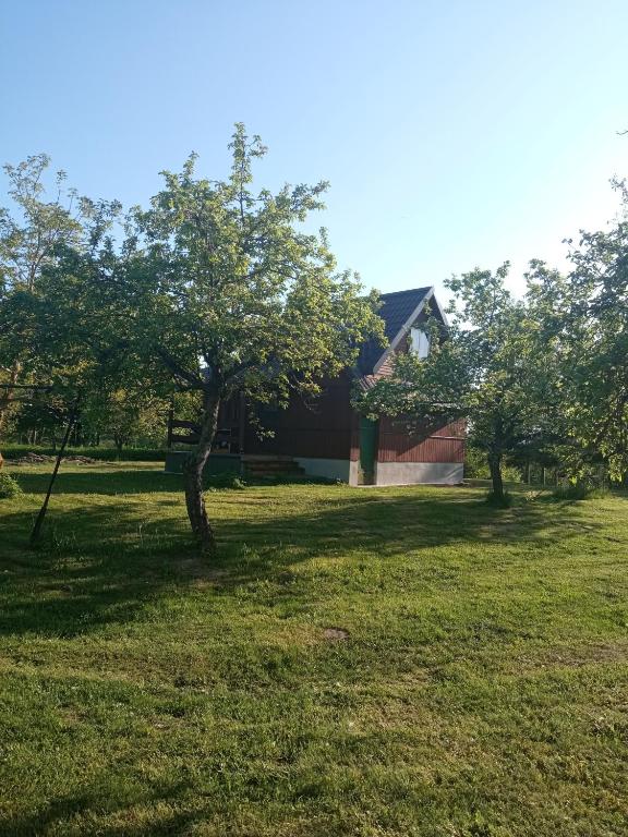 um quintal com árvores em frente a uma casa em Sielanka na wzgórzu em Czostków