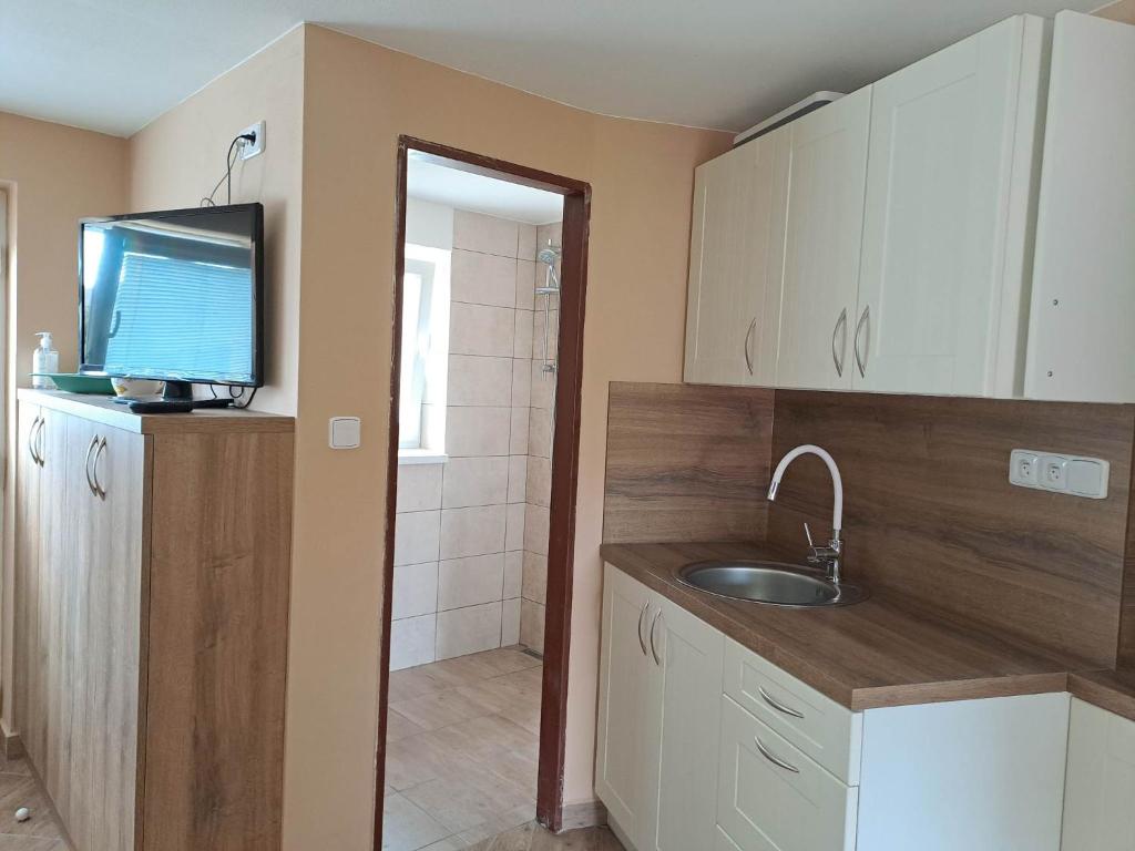 Kuchyň nebo kuchyňský kout v ubytování Apartmán Store