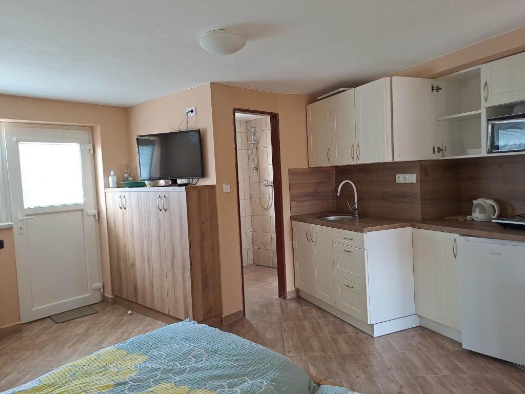 Kuchyň nebo kuchyňský kout v ubytování Apartmán Store