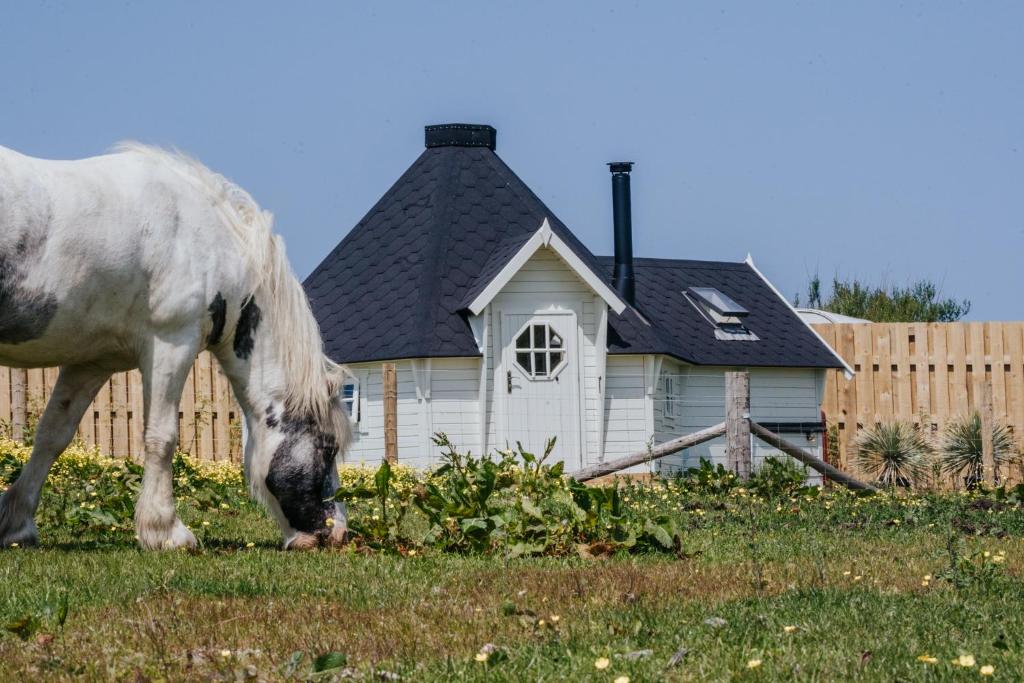 a horse grazing in a field in front of a house at Mawgies in Saint Ervan