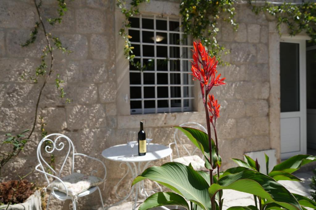 un tavolo con una bottiglia di vino e un fiore rosso di APARTMENTs VISIT PERAST a Perast