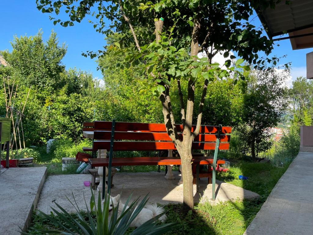 Apartment Jovana - 16