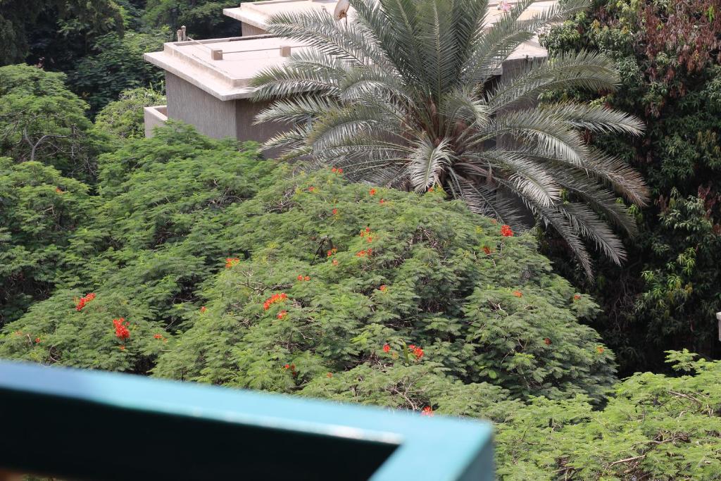 Zahrada ubytování Santana Hotel Cairo