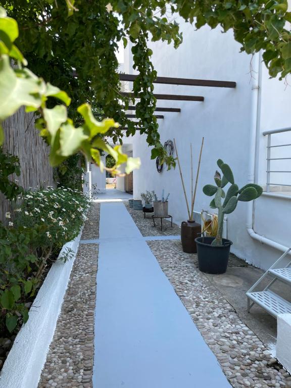 a pathway in a garden with a white building at Orchard Retreat in Himare