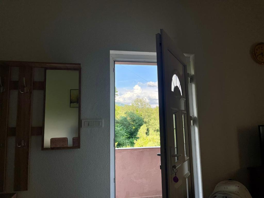 Apartment Jovana - 12