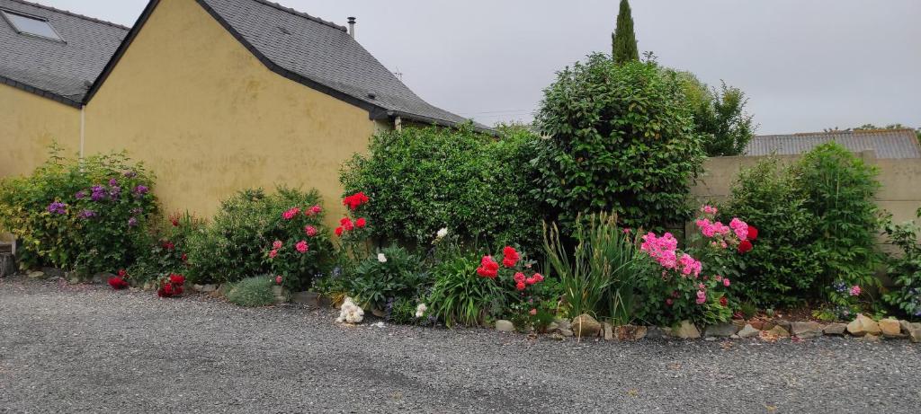 Vonkajšia záhrada v ubytovaní Gîte Des Huttes
