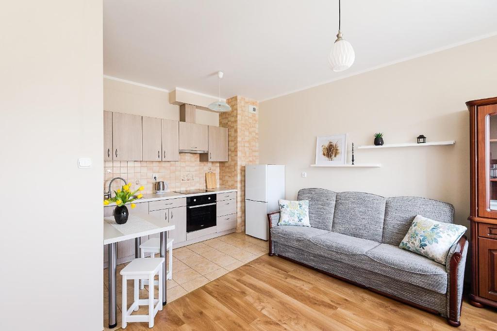 Apartamenty Iława - Housity