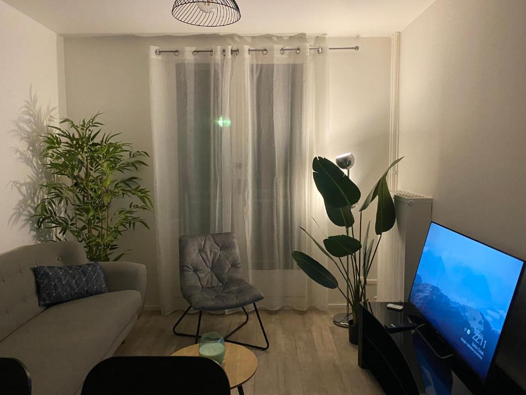 een woonkamer met een bank en een tv bij Joli appartement meublé in Annecy