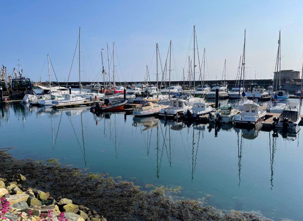 The best anchorages and marinas in County Waterford