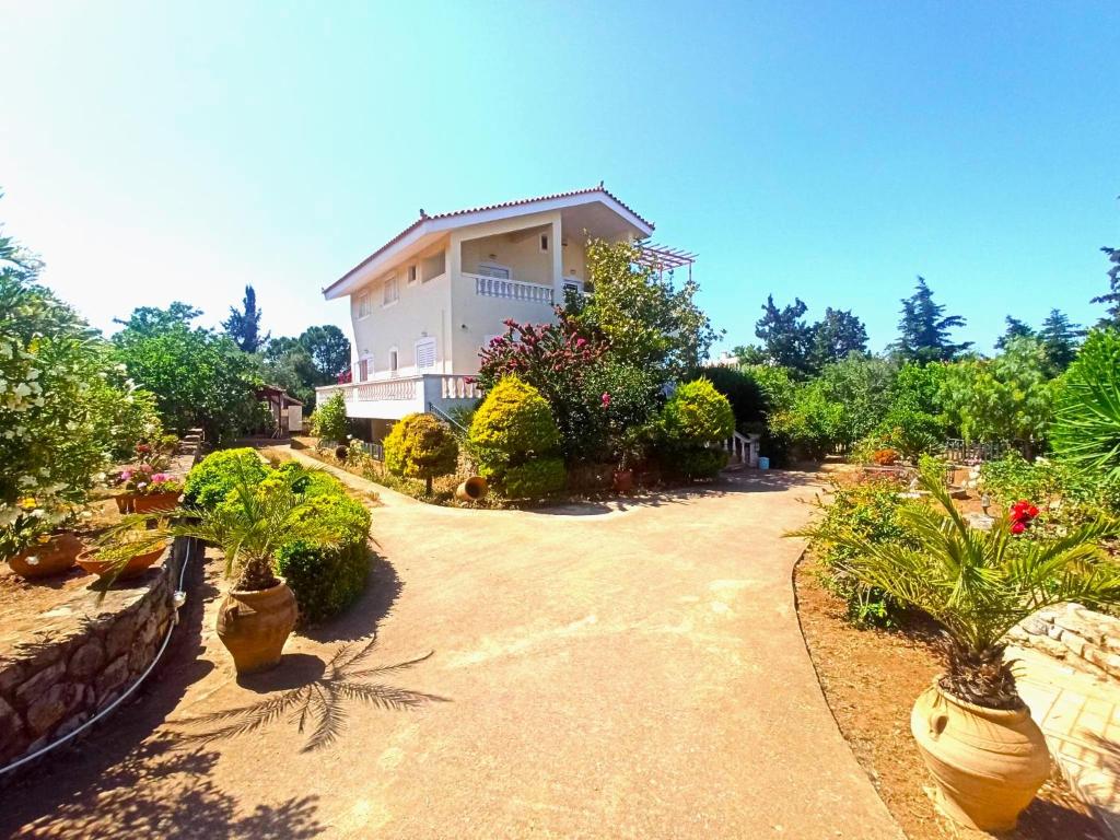 a garden with potted plants and a building at Geralis Lodge in Chalkida