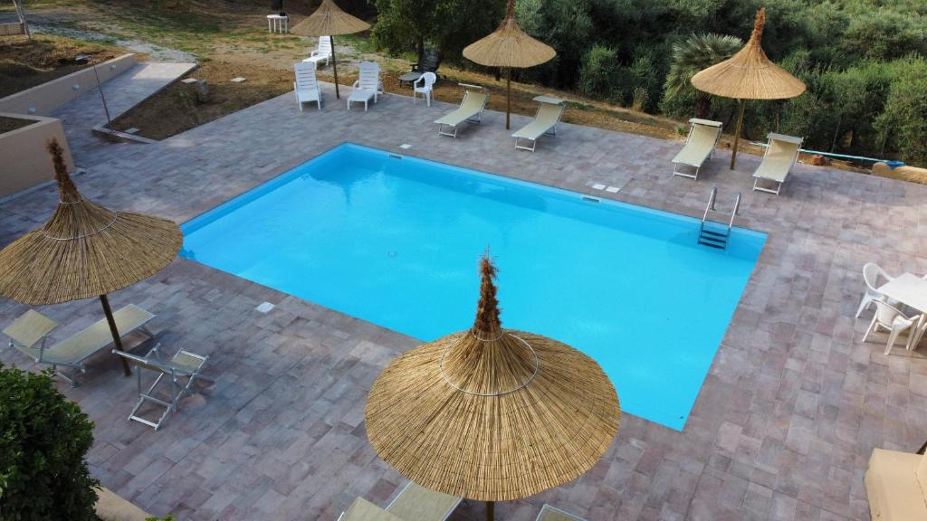 an overhead view of a swimming pool with umbrellas at Agriturismo Cerroni Montescudaio in Montescudaio