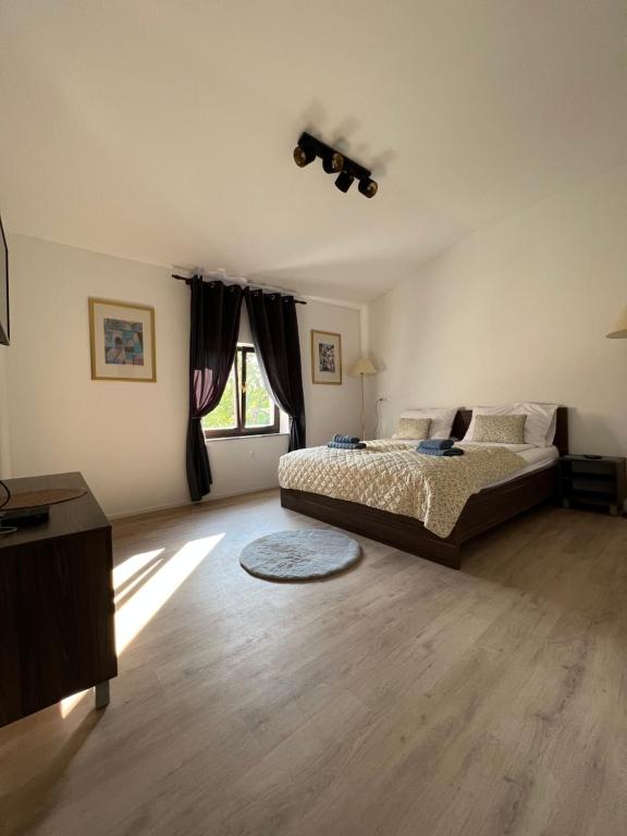 a large bedroom with a bed and a window at Slovenian House Vida in Bled