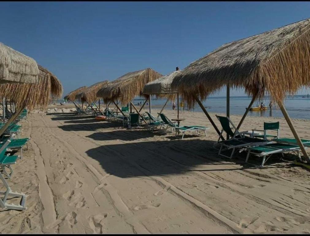Casa Mare Parco في مونتيسيلفانو: صف من مظلات القش والكراسي على الشاطئ