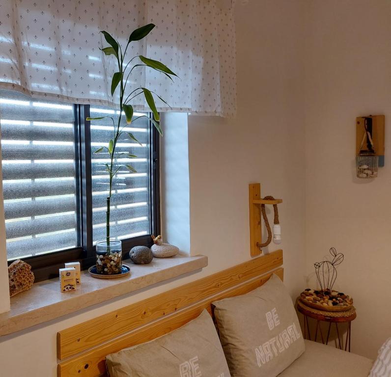 Fotografie z fotogalerie ubytování צמח בר v destinaci Midreshet Ben Gurion