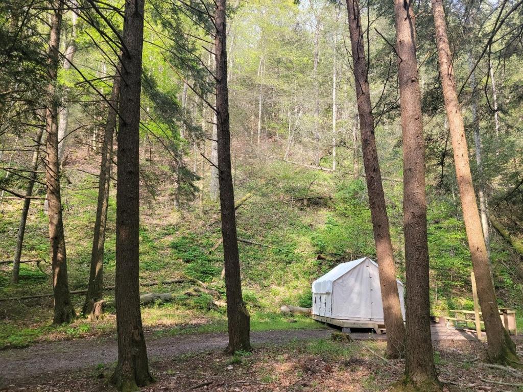 Tentrr State Park Site Big Run State Park Site A, Bittinger