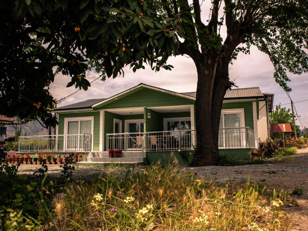 een groen huis met een boom ervoor bij New Village Home, Near to Beaches-Natural Zone in Ortaca
