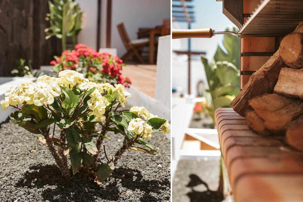 Fotografie z fotogalerie ubytování Villa Lyra Piscina Climatizada v destinaci Playa Blanca