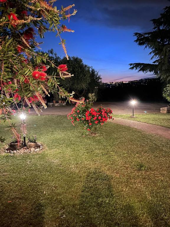 Zahrada ubytování Room24 Relax & Wellness