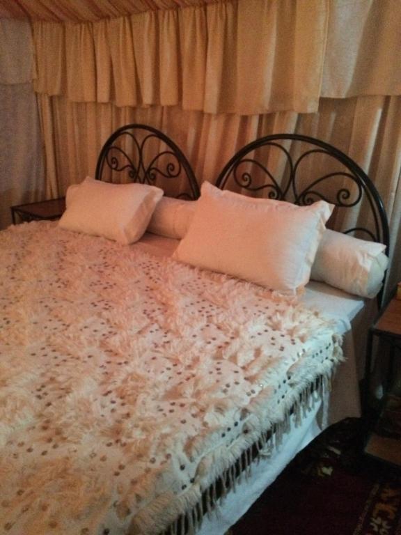 Desert Camp in Zagora - Camel ride - Easy & Affordable Stays - Tente