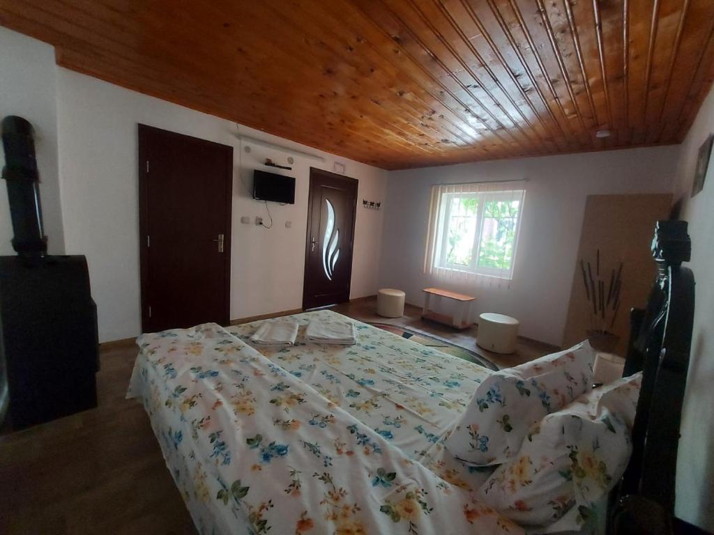 Postel nebo postele na pokoji v ubytování Pensiunea Raluca