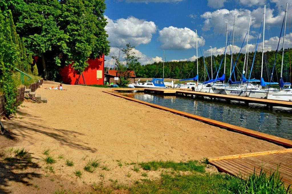 Příroda nedaleko kempu