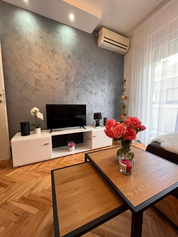 TV a/nebo společenská místnost v ubytování Apartman Polo
