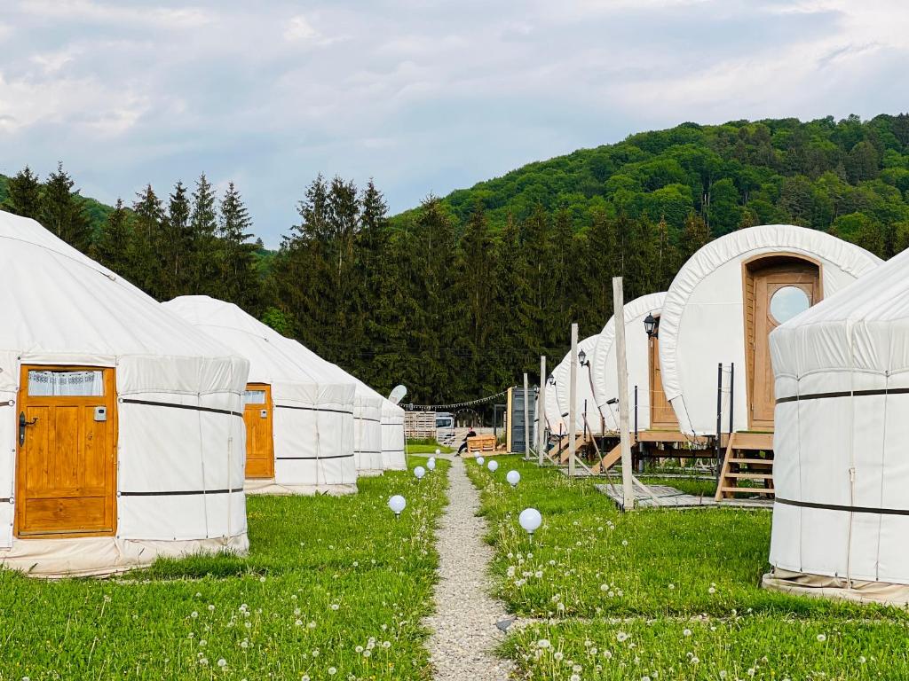 a row of white tents in a field of grass at Glamping Spiritul Zimbrului in Vama Buzăului