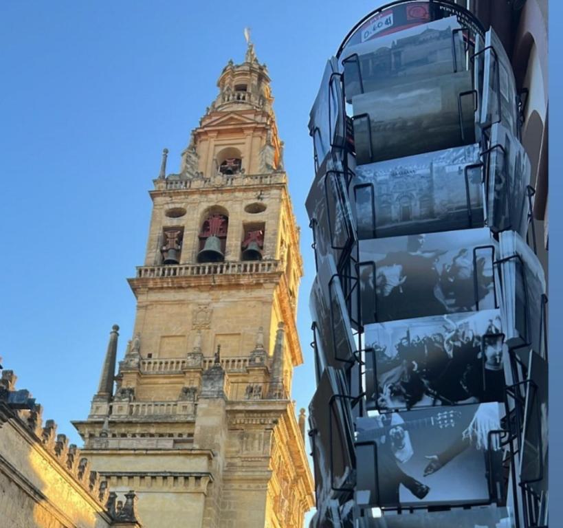 Accommodation Campanario de la Magdalena - 14