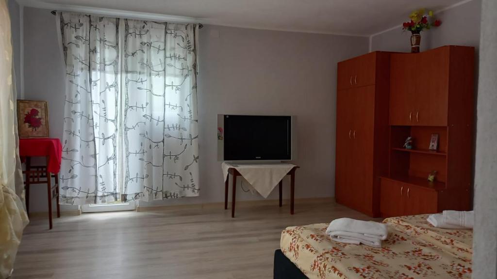 TV a/nebo společenská místnost v ubytování La Nera