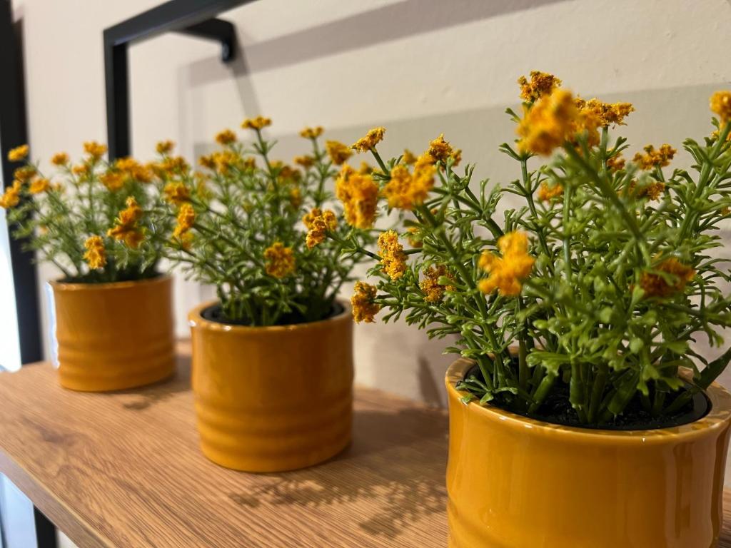 Urban Gem by Homebrain - 18