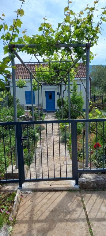 a gate to a house with a blue door at Studio apartman ROZA in Ston