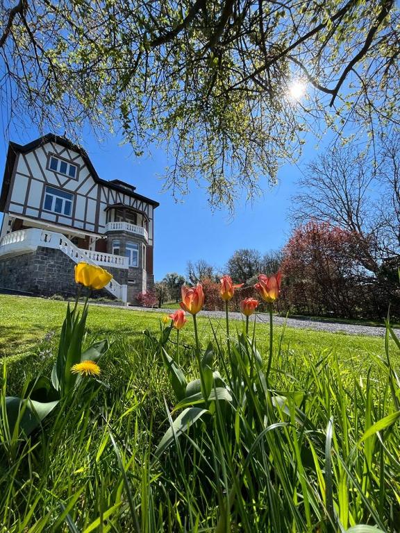 a group of flowers in the grass in front of a house at Les 3 Soeurs in Han-sur-Lesse